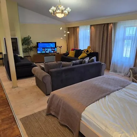 Daugava Rrlux Penthouse With Fireplace And Free Parking Διαμέρισμα *