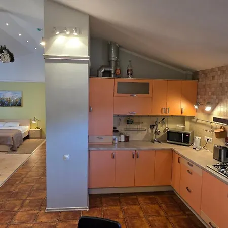 Daugava Rrlux Penthouse With Fireplace And Free Parking *
