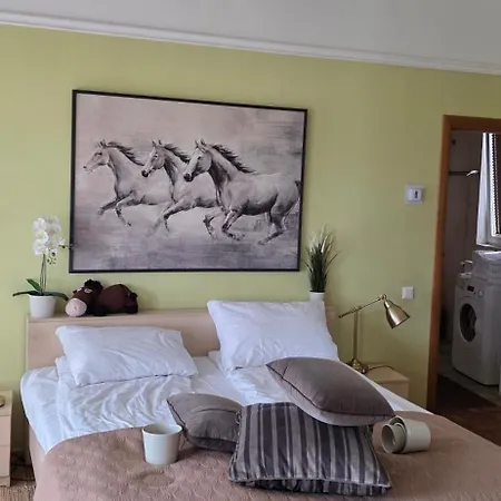 Апартаменти Daugava Rrlux Penthouse With Fireplace And Free Parking *