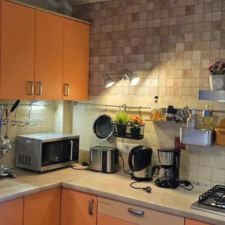 Daugava Rrlux Penthouse With Fireplace And Free Parking * Рига
