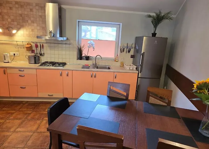 Daire Daugava Rrlux Penthouse With Fireplace And Free Parking *