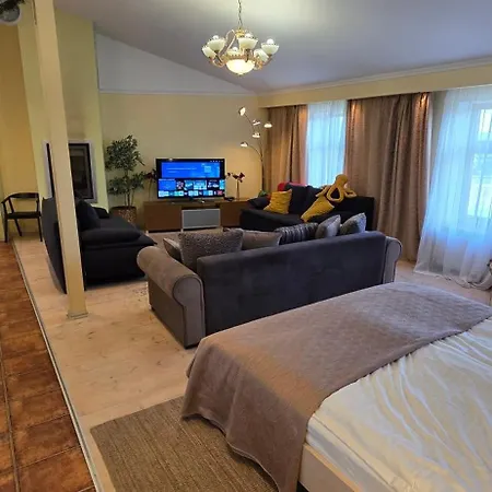 Daugava Rrlux Penthouse With Fireplace And Free Parking